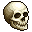 Human Skull